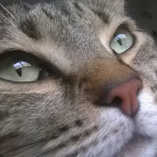 MStellaMz's profile picture. 