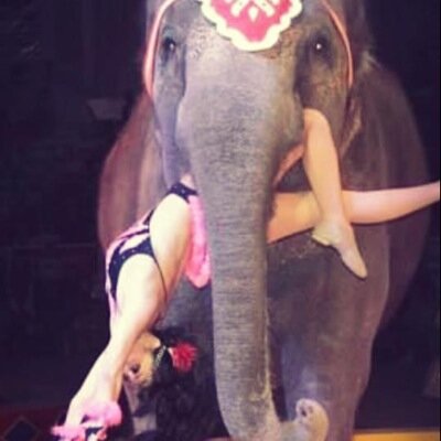 Monaloyal2's profile picture. Circus is Life!!!