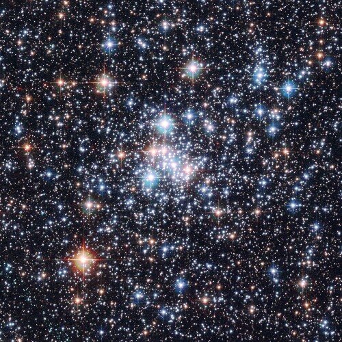 dal mio mondo al vostro