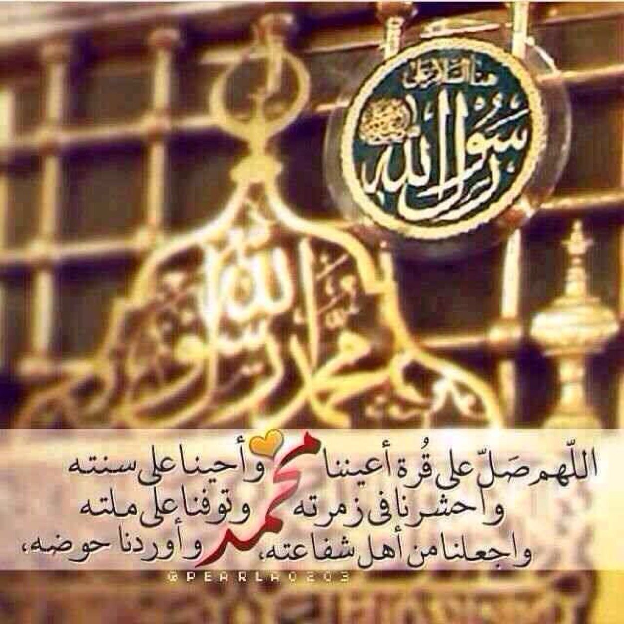 samii14131's profile picture. 