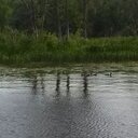 Deb Knutson - @debknutson1 - Twitter