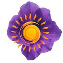 Фиолетовое солнце - @VioletSun36 - Twitter