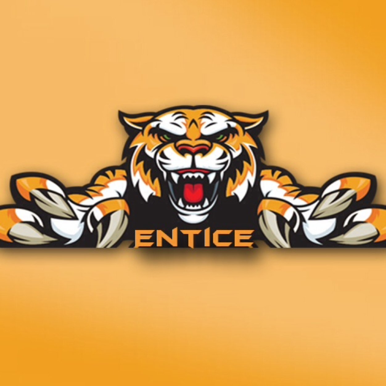 15 | Competitve player for EnTice Pro  | Powered by @CinchGaming l @NoScopeGlasses l @SoothCustoms l @AporiaCustoms l Rising to the Top l