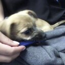 Brian Donaghy - @Briandonaghy311 - Twitter