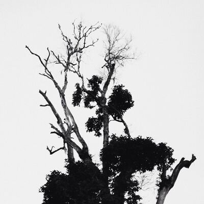 yorrdan's profile picture. 