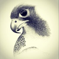 راشد العريك (@aboganim2) 's Twitter Profile