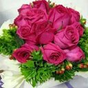 صدى الجروح (@004ef16752034b3) Twitter