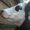 joe Weigel - @nascar1439joe - Twitter