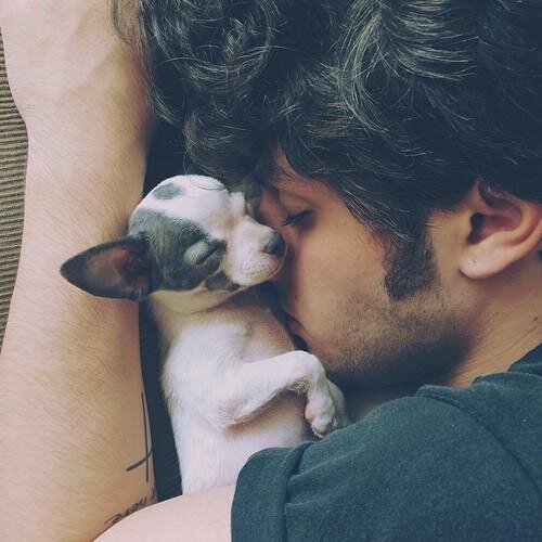 Tepenico & Pitoleca ♥