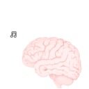 thePinkbrain's profile picture. Digital Planner and vocalist.