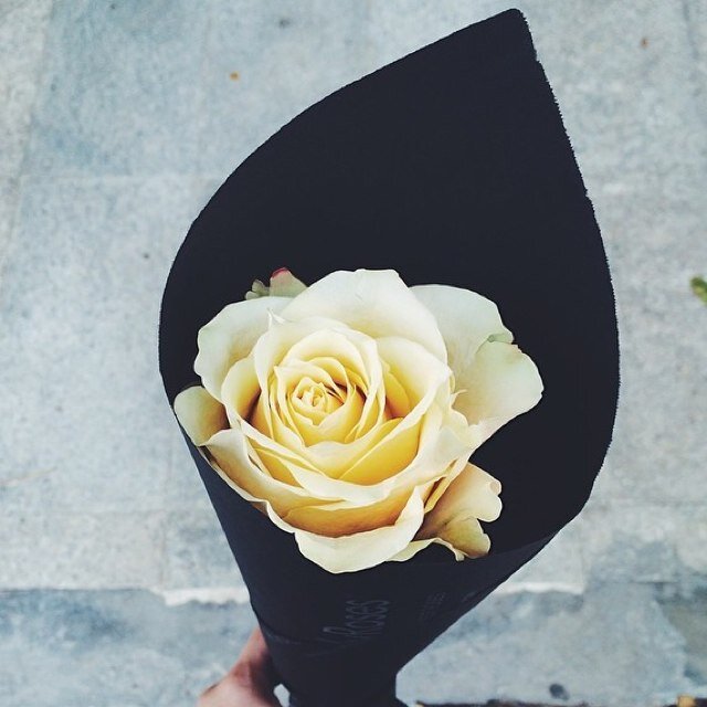 2012Tmtoom's profile picture. اللهم احرسني بعينك التي لا تنام