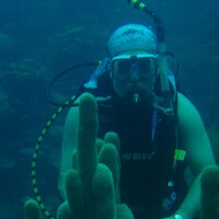 dos Reis Ignacio (@dosreisignacio) 's Twitter Profile