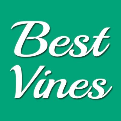 Find The Best Vines Here