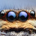 Frank Egan - @egan_frank - Twitter