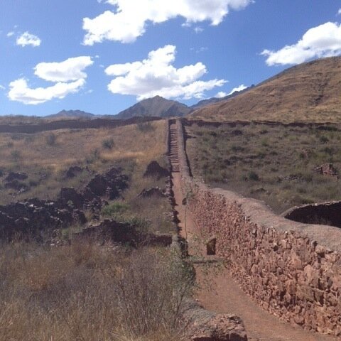 Wowweefactor's profile picture. 