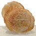EH Gourmet Food (@ehgourmetfood) Twitter profile photo EH Gourmet Food (@ehgourmetfood) Twitter profile photo