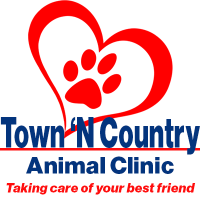 #Veterinary services for #dogs, #cats and more. Check out our other #Tampa location @AbbottAnimalVet!