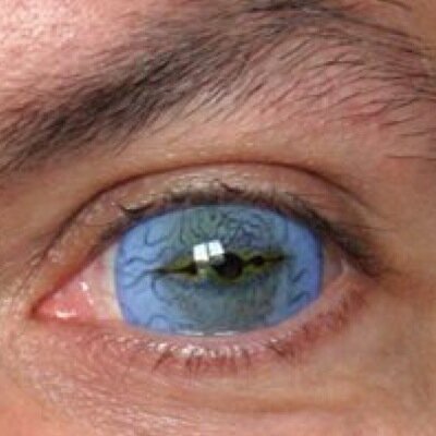 The Reel Eye Company specialises in SFX contact lenses for the Film, T.V, and Media industries.