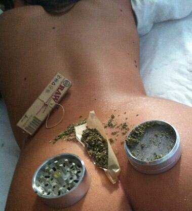 Kushpark's profile picture. Even if you don't smoke. FOLLOW to be entertained, educated, and enlightened. @kushpark