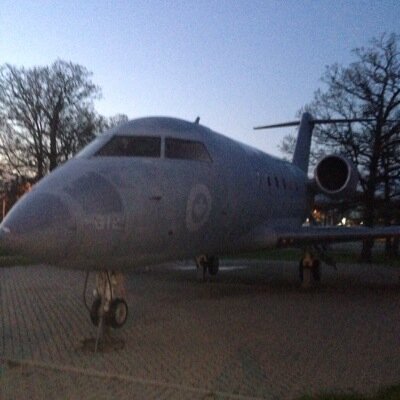 SiberiaCuda's profile picture. 