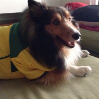 tania cesar (@taniamce) Twitter profile photo
