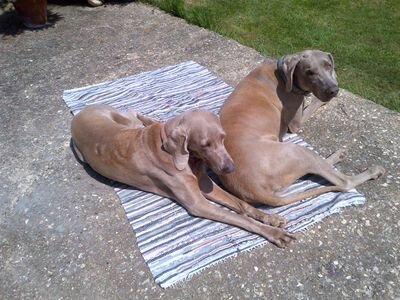 sbell5747's profile picture. 