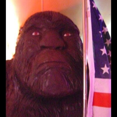 Bigfoot does exist. These are the possible thoughts and ideas of bigfoot, sasquatch, etc.