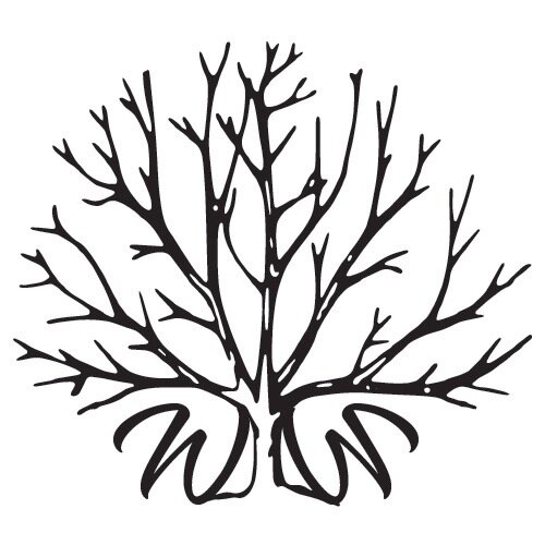 WaneyWood's profile picture. WaneyWood produces a range of distinctive products all handcrafted with wood, from our workshop in Devon.