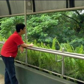 My style is program software,, choose your way for future