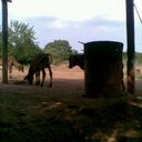 Marina Q - @MarinaQuevedo_ - Twitter