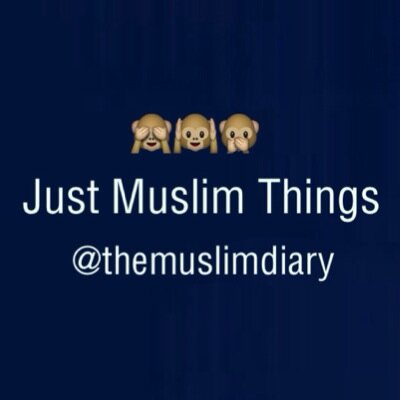 Instagram: @justmuslimthings