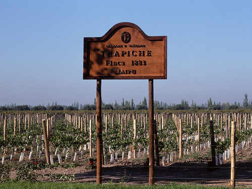 Trapiche- Argentina Profile