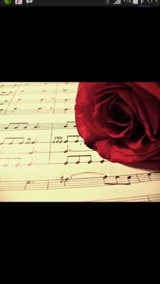 ‏‏ ليكن قلبك كصدفه في بحر
 لا تحمل سوى لؤلؤه واحده هي حب الله ♥