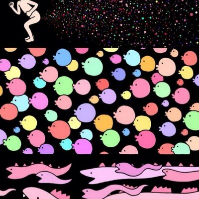 ぬこ