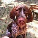 John Fleming - @johnfleming2005 - Twitter