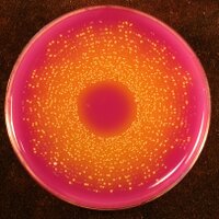 ManMet Life Sciences (@mmu_lifescience) 's Twitter Profile
