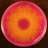 MMU_LifeScience's profile image