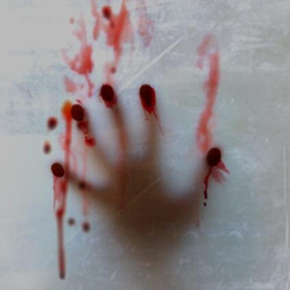 Terreur_Sofa's profile picture. 