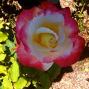 margaret staton - @margaretstaton4 - Twitter