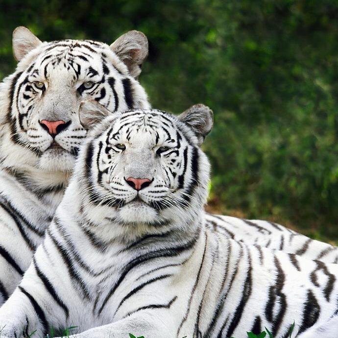 Babysammie1996's profile picture. 