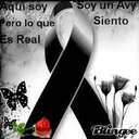 leyda gonzalez - @leydaleydagg - Twitter