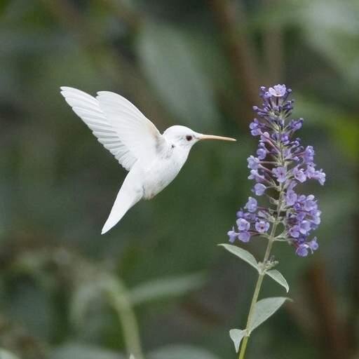 Shenvalleygirl's profile picture. Talent Scout, Booking Agent, Artist Developer, Marketing Coach, online Entrepreneur #music #artistdevelopment #entrepreneur  #motives #health #wellness #AKA