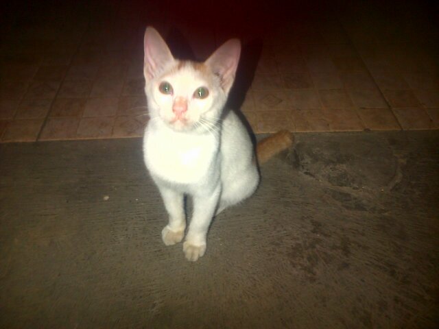 Buat anak Oi jgn lupa Follow ini @iwanfals