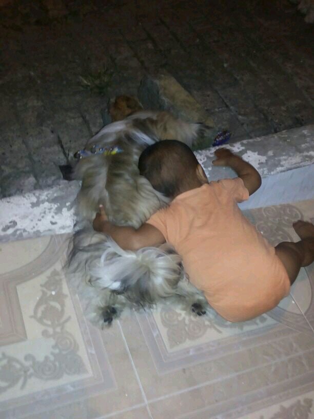 🐶❤️ Suelo pasar del anonimato al desprestigio.