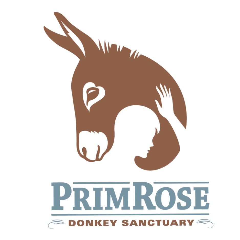 Dedicated to the rescue, protection and rehabilitation of neglected or abused donkeys, mules and hinnies. Registered charity - donations greatly appreciated.