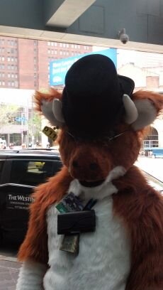 Fursuiter, bad dancer, camera shy. Tacos?
