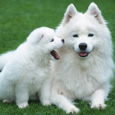 UniversityRose's profile picture. Professional (PS3) Call Of Duty Player, Competetive Is The Way To Go! My Clan Is University.