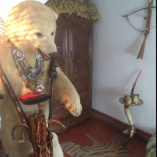 tnordvall's profile picture. 