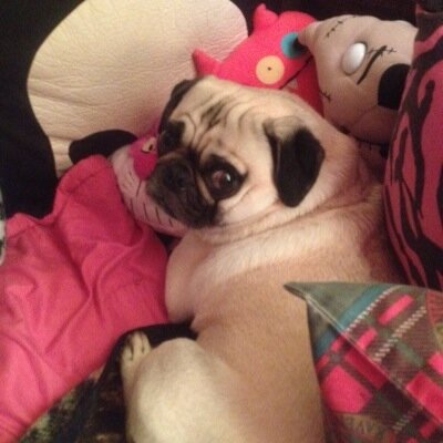 Mamafryz1's profile picture. 