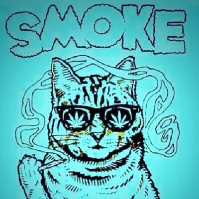 Smoke Meowt.